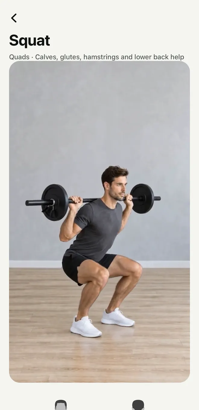 The squat: a short video of the lift and the muscles it works